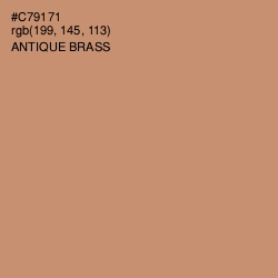 #C79171 - Antique Brass Color Image